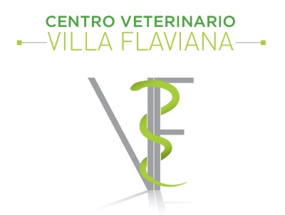 Centro Veterinario Villa Flaviana Cinecitta Est